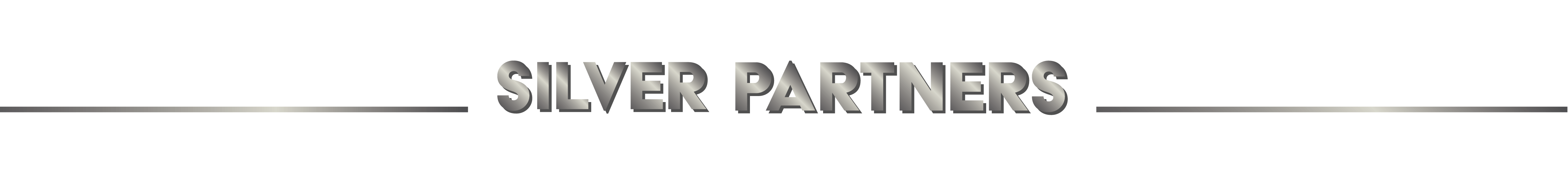 Silver Partner Website Banner