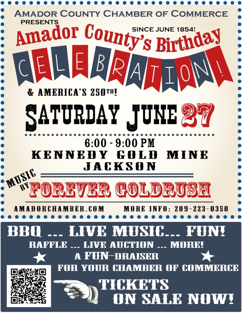 Birthday Party Flyer 2026