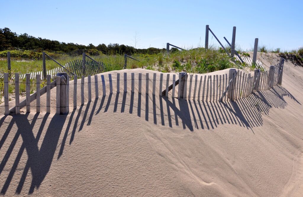 Cape Cod National Seashore