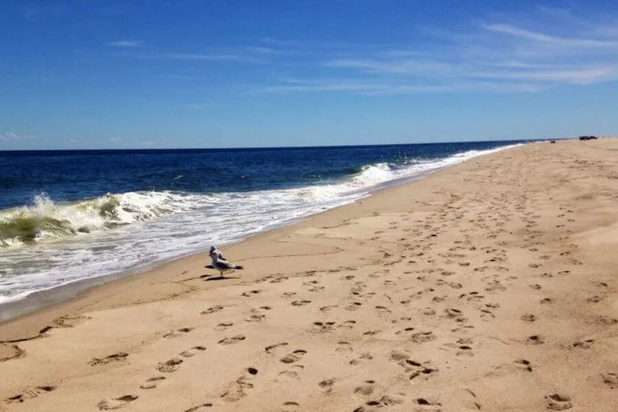 Beaches