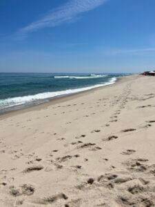 Cape Cod National Seashore & Orleans Beaches Cape Cod National Seashore & Orleans Beaches