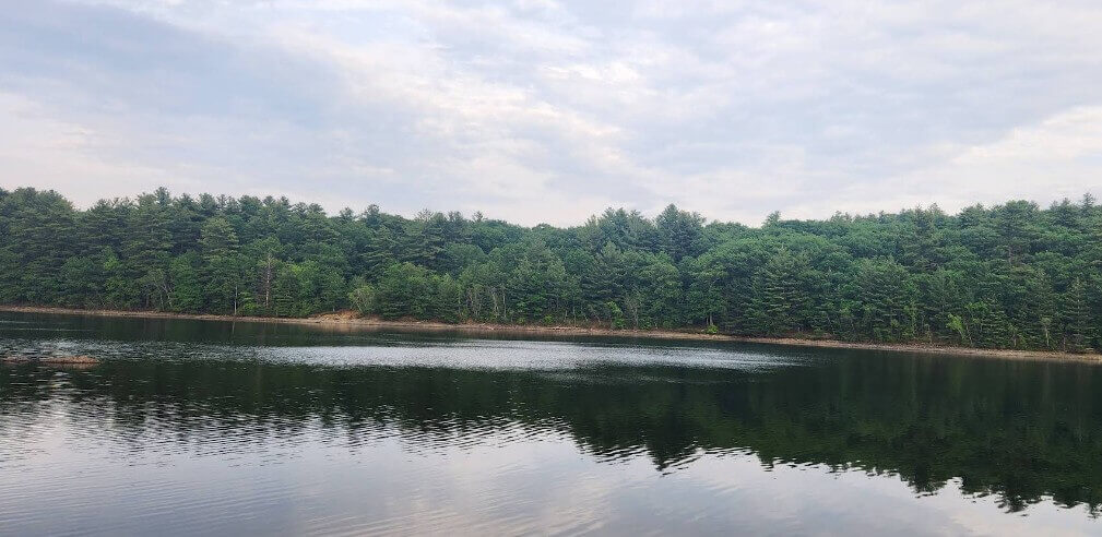 Mill Pond Conservation Area Orleans MA
