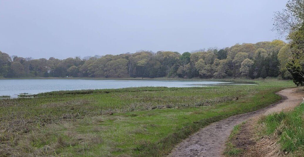 Nauset Marsh Trail Orleans MA