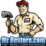 mr restore