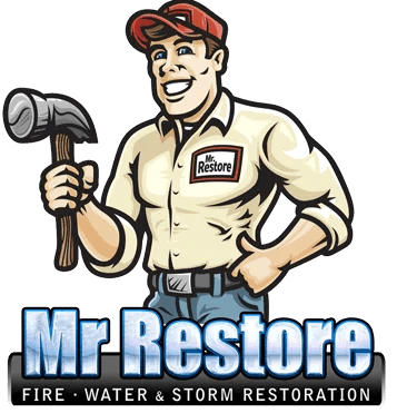 mr restore