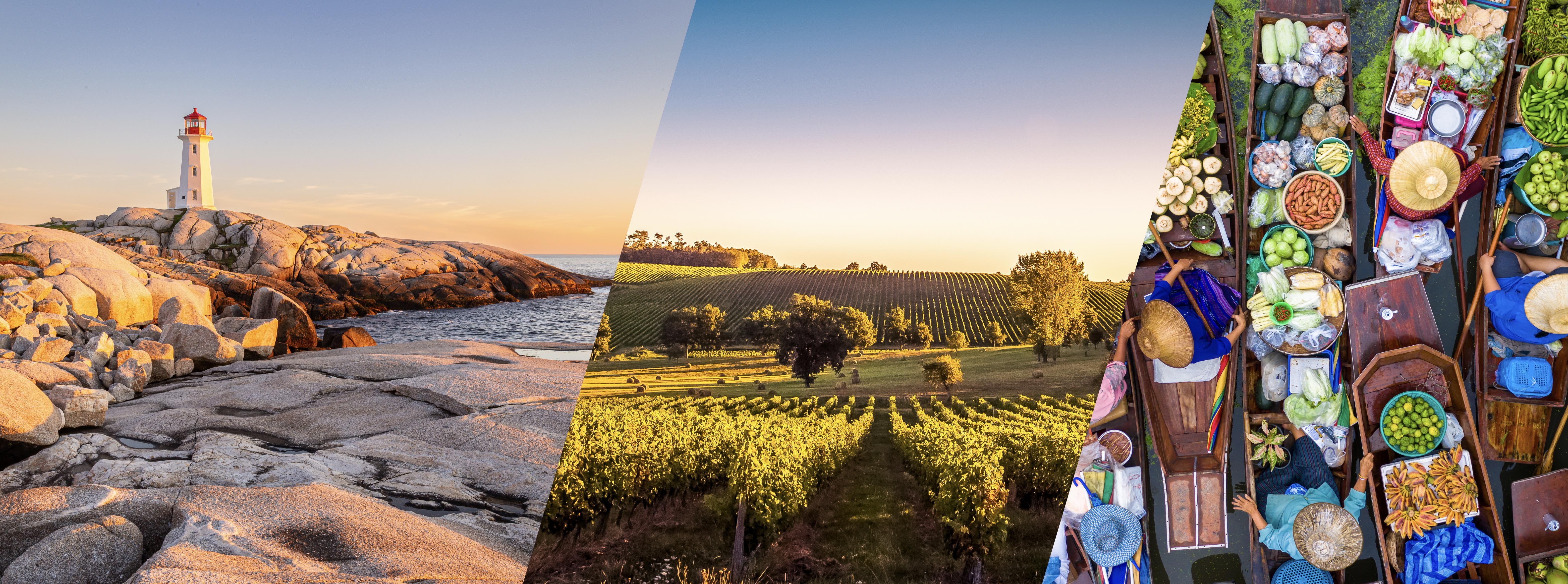 An image split into three scenes, the first is a lighthouse on the east coast of canada in a pink and orange sunset, the sky is blue and the rocks are softly coloured by the light. the second image is a field in France drenched in light as the sun rises or sets, there are trees and it looks to be an orchard or vineyard withe rolling hills. The third image is people on boats in thailand the boats are filled with food and the people are wearing hats.