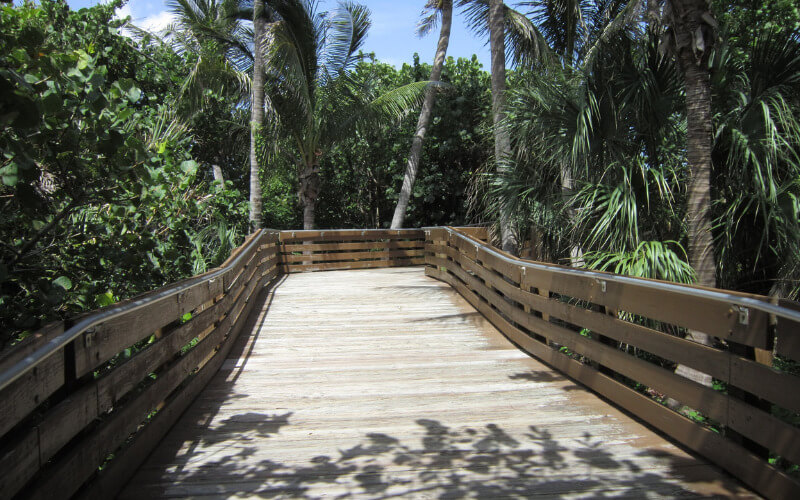 Board walk