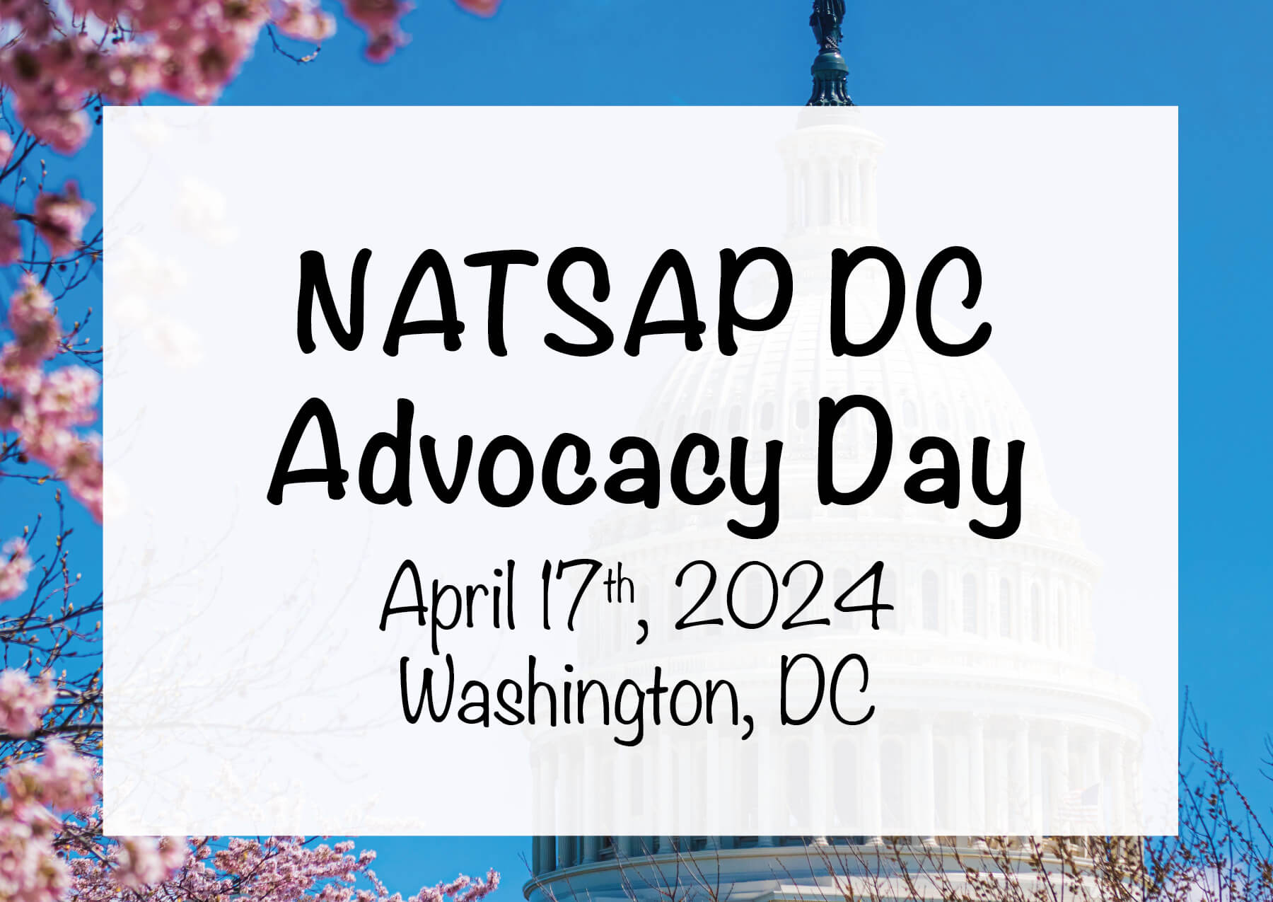 NATSAP Advocacy Day graphic 2024