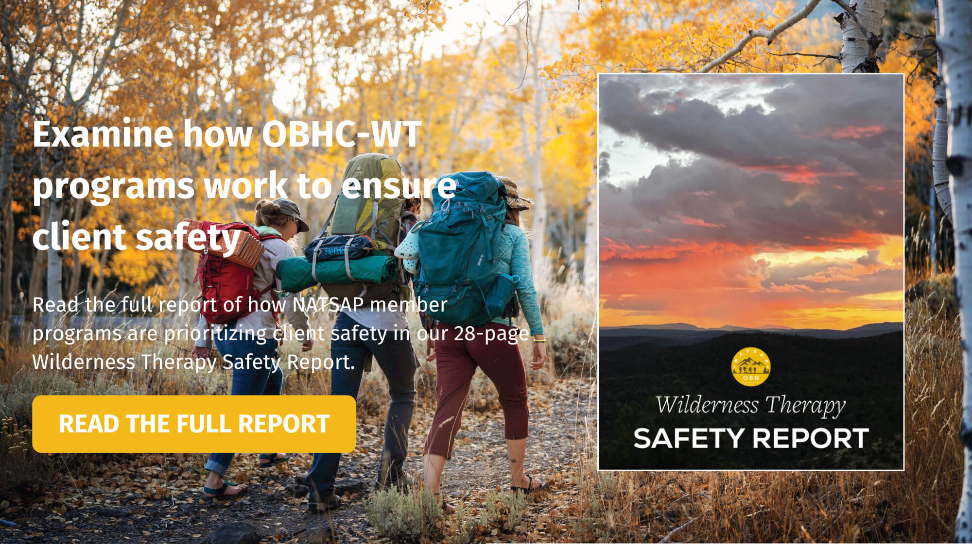 Wt Programs Examples Outdoor Behavioral Healthcare Council Wilderness Therapy Safety Report ...