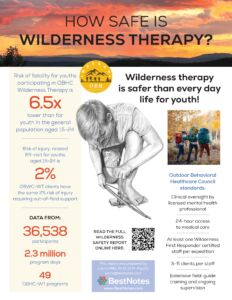 WT Safety Report One-pager 121525 (1)