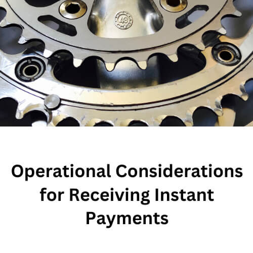 Opeartional Considerations Instant Payments