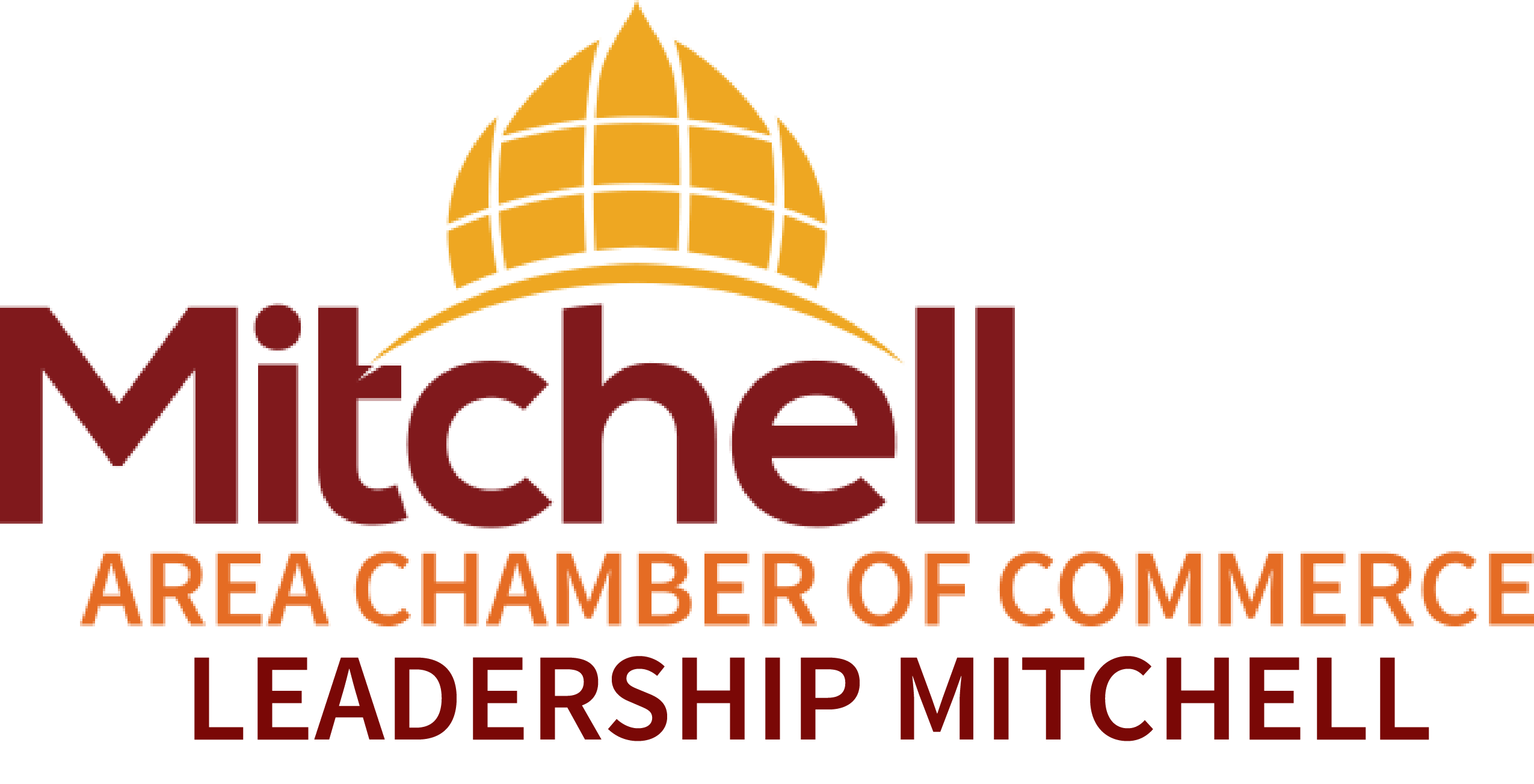Leadership Mitchell