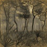 George S. Gati, Mysterious Forest