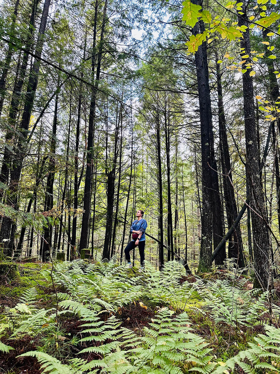 Hike Merrill Merrill Area Chamber of Commerce