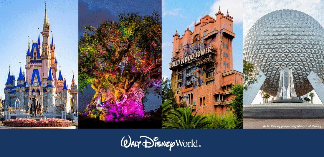 WDW Meeting-Convention Ticket Banner 2