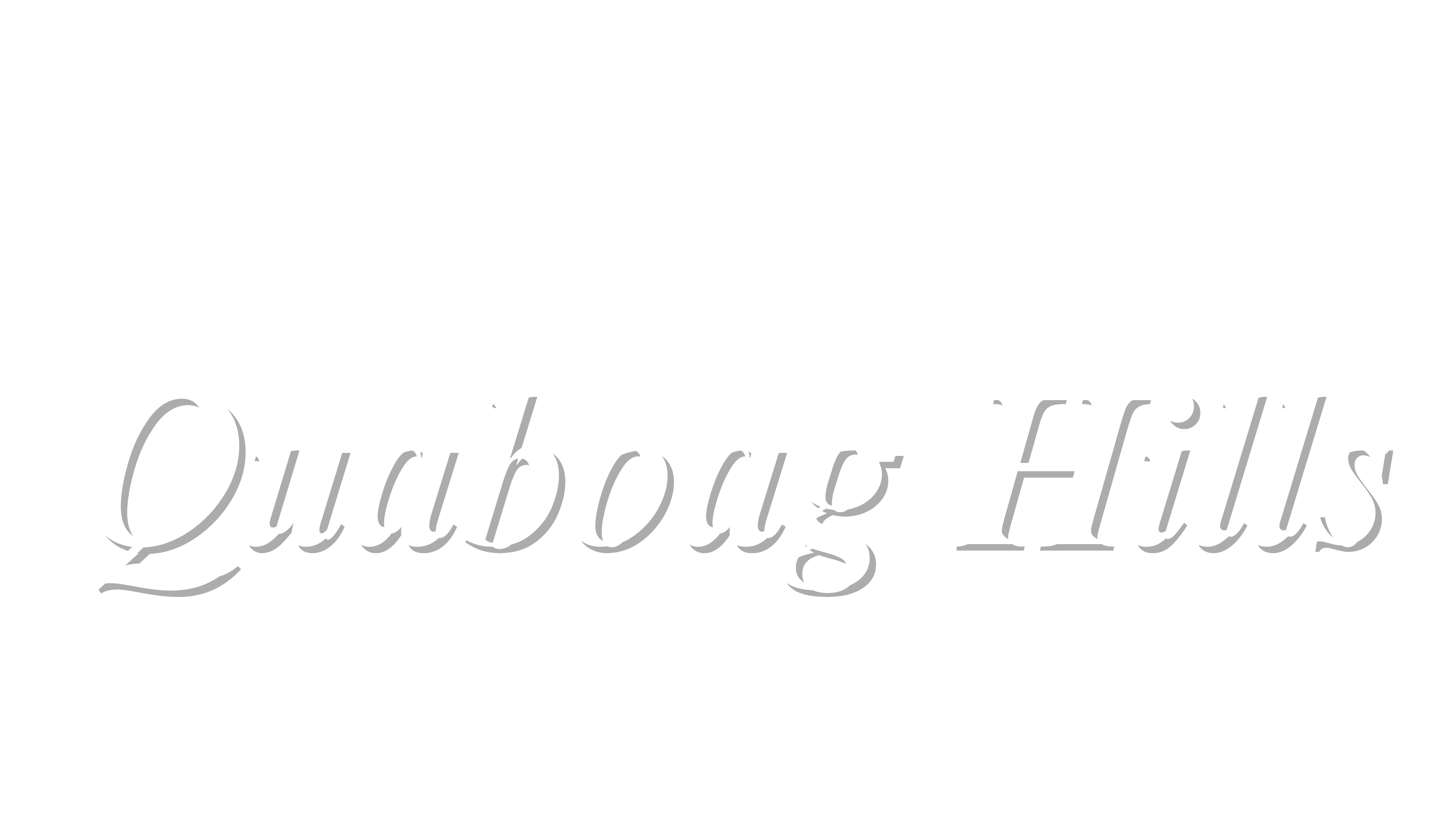 2025 QHMA White Shadow Logo Stacked 2025 QHMA White Shadow Logo Stacked