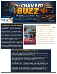 Screenshot 2026-02-17 094056