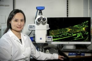 Dr. Ying Yang