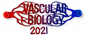 VascularBiology_Logo2021_png