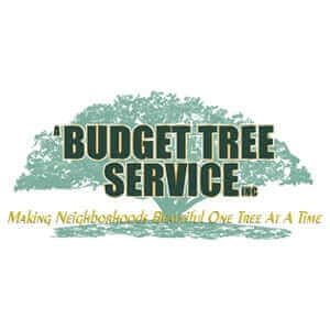Budget Tree Service