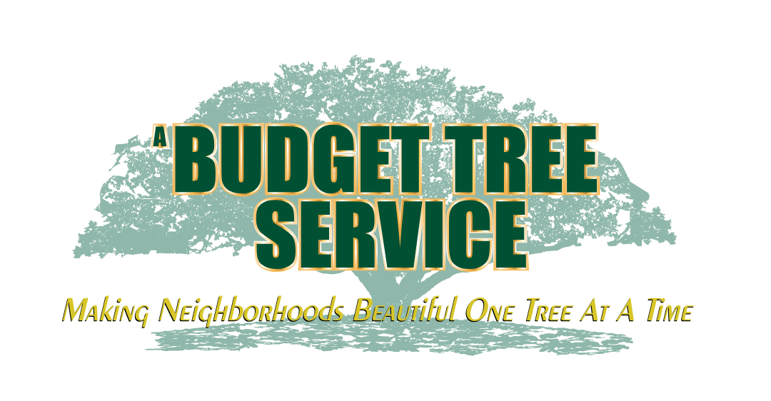 A Budget Tree Service