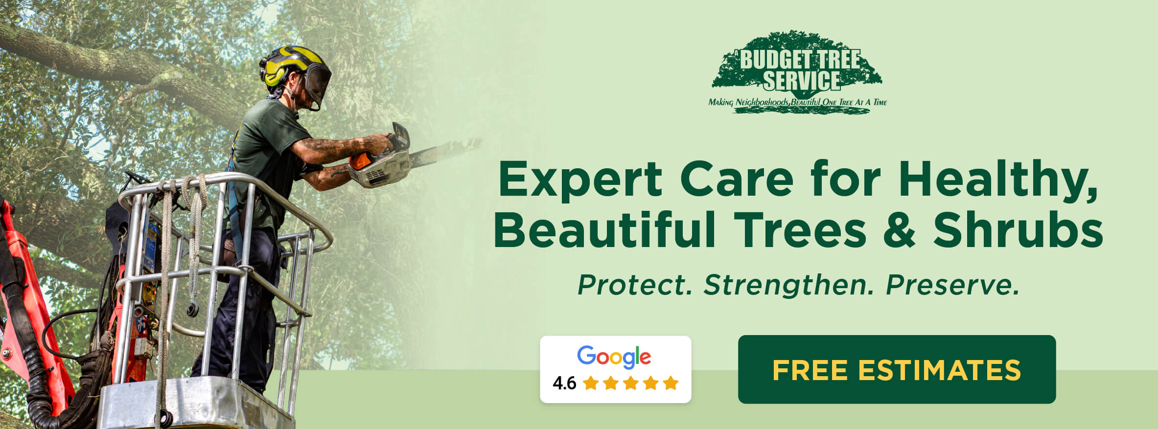 A Budget Tree Service