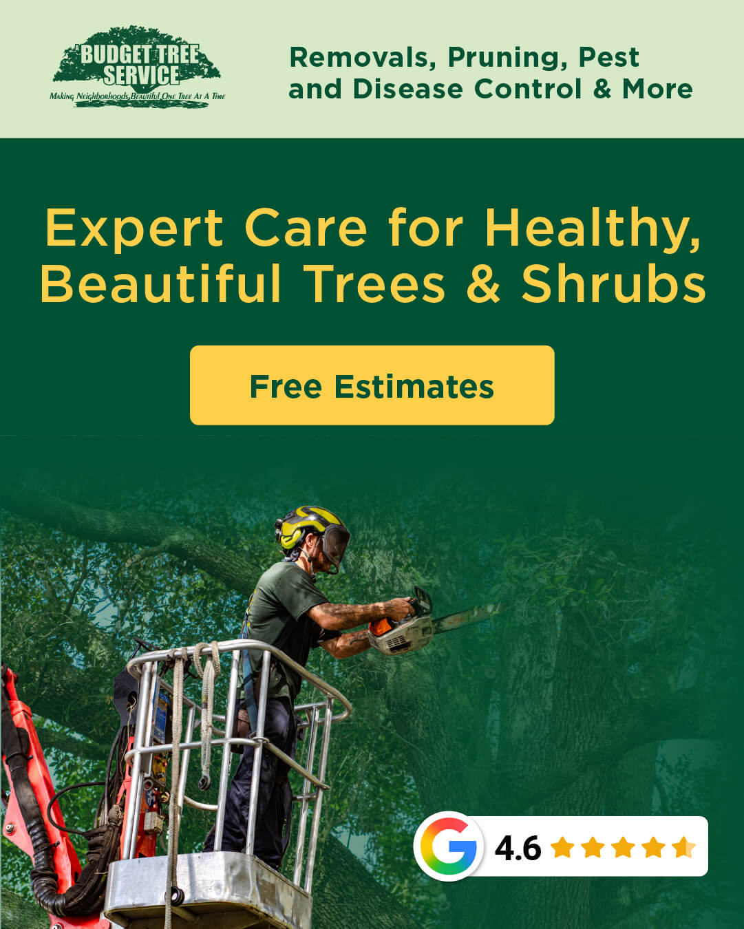 A Budget Tree Service