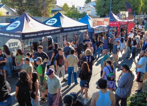 people in street fair market with vendors