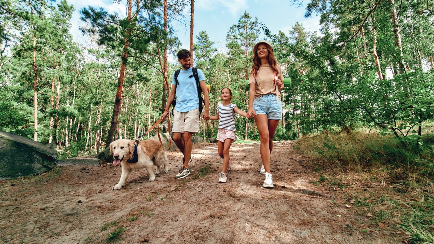 Family walking in the woods with a dog