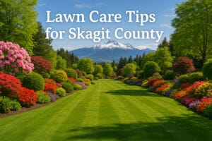 Perfectly landscaped yard in Skagit County, Washington, featuring a lush green lawn, colorful flower beds, and snow-capped mountains in the background under a clear blue sky. Title text reads 'Lawn Care Tips for Skagit County