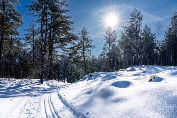 ski trail