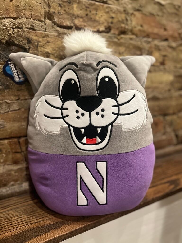 Northwestern University Raffle Prize Northwestern University Raffle Prize