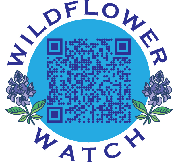 Wildflower watch