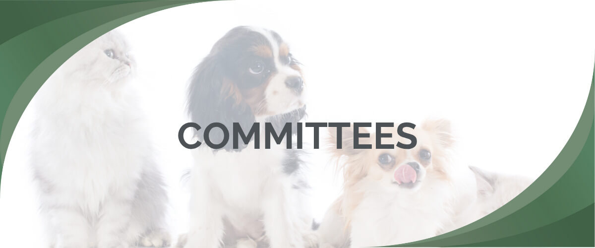 Committees 1200 x 500 Committees 1200 x 500