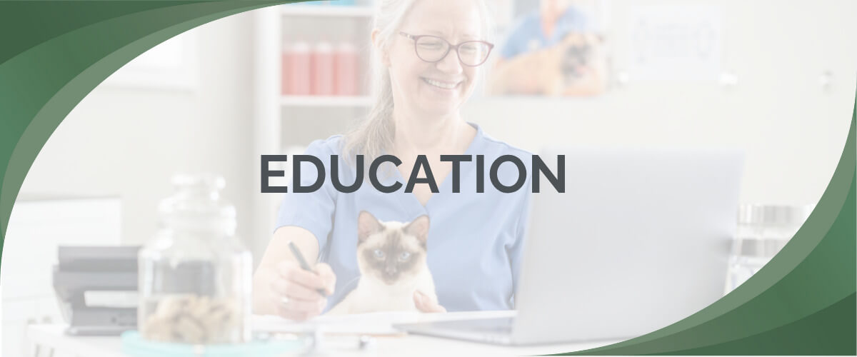 Education 1200 x 500 Education 1200 x 500