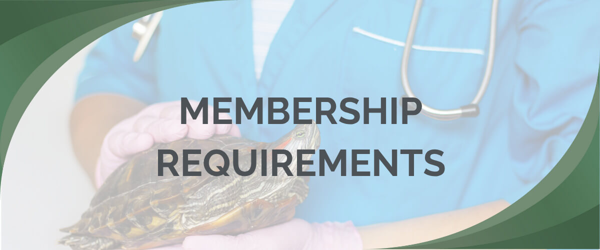 Membership and Certification Renewals 1200 x 500 (1) Membership and Certification Renewals 1200 x 500 (1)