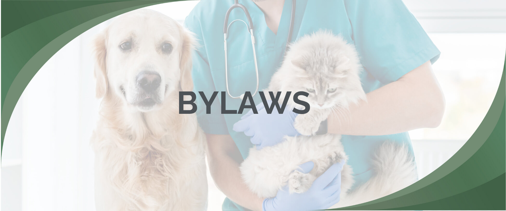 NJVT Interna 1200 x 500