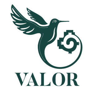 DRINK VALOR TAYLOR TEXAS FIESTA TAYLOR TEQUILA VENDOR
