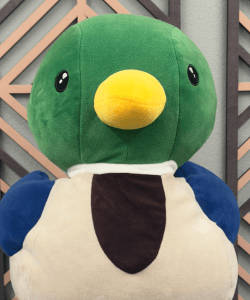 Chamberlin Taylor Chamber of Commerce