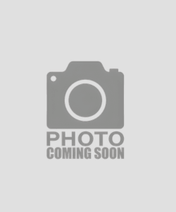 Photo Coming Soon Taylor Chamber of Commerce Photo Coming Soon Taylor Chamber of Commerce