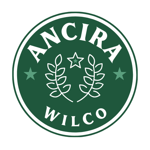 ANCIRA Strategies logo.color