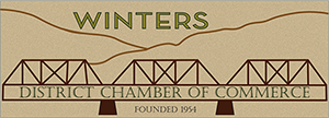 Winter Chamber logo new Final