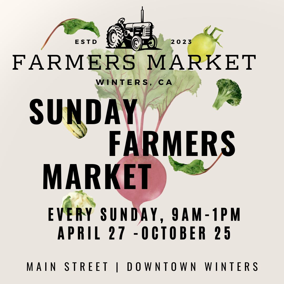 Sunday Farmers Market