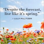 spring saying