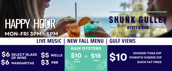 Shunk Gulley Web Ad