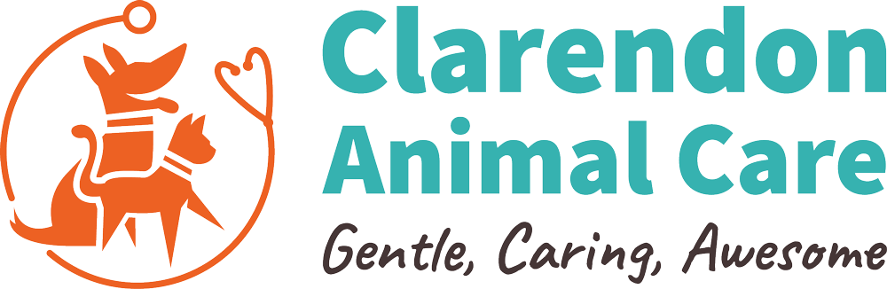 Clarendon Animal Care