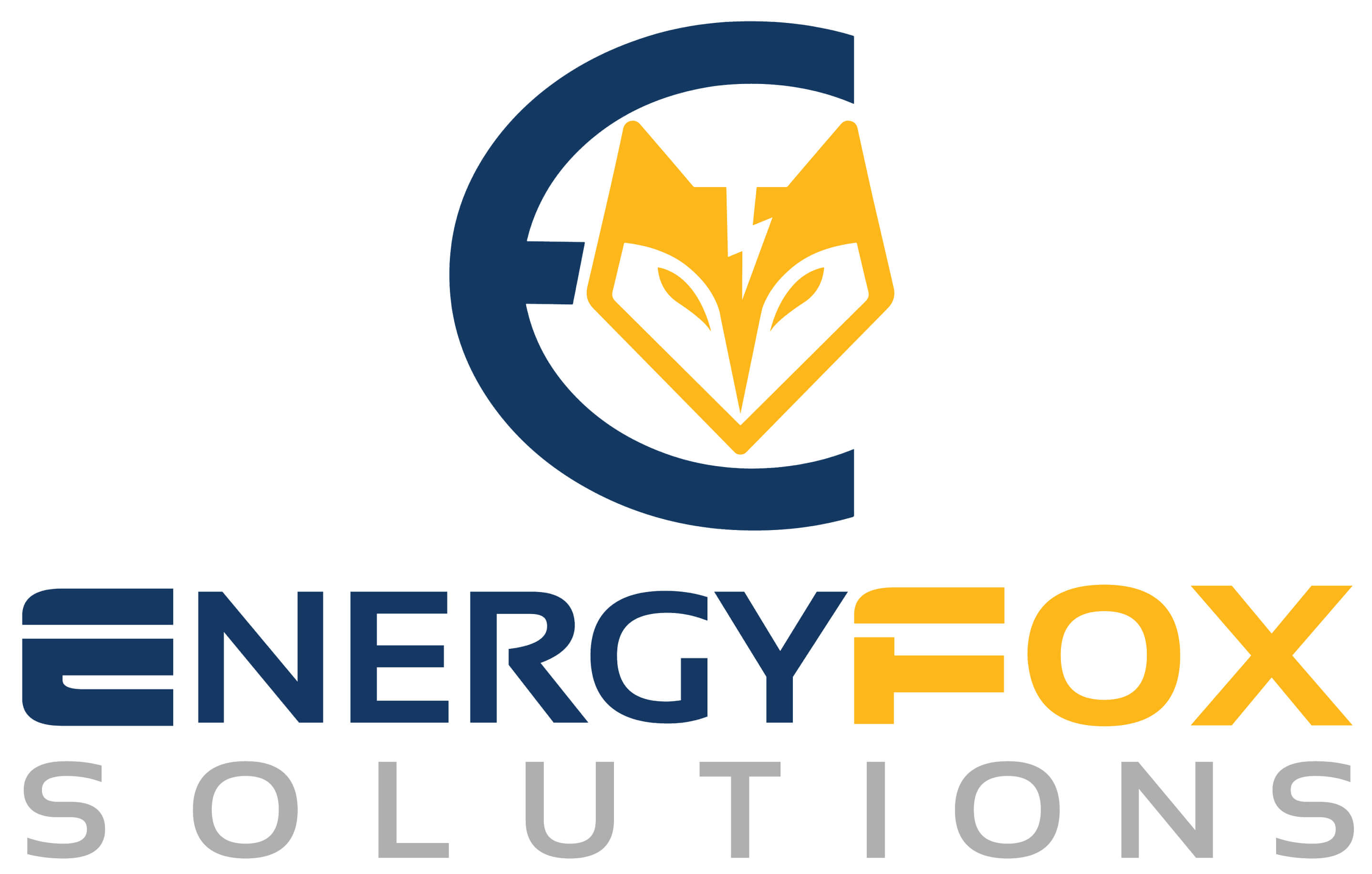 https://growthzonecmsprodeastus.azureedge.net/sites/1658/2025/08/Energy-Fox.jpg