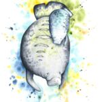 Wild Planet Creations