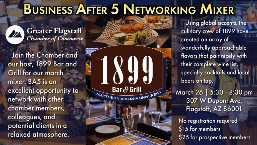 Business After 5 Networking Mixer Flyer
