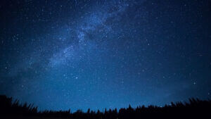 Blue dark night sky with many stars above field of trees. Yellowstone park. Milkyway cosmos background